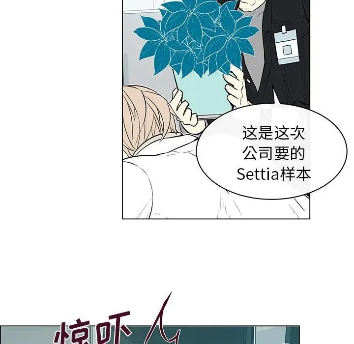 13 第41页