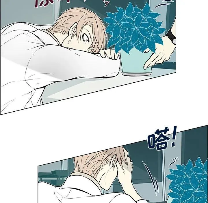 13 第42页
