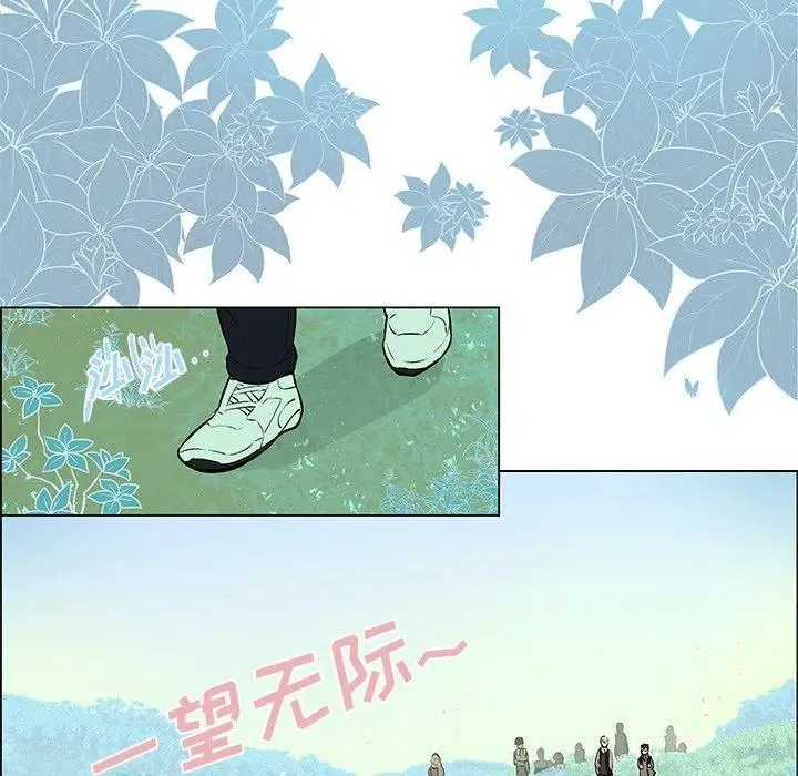 12 第5页
