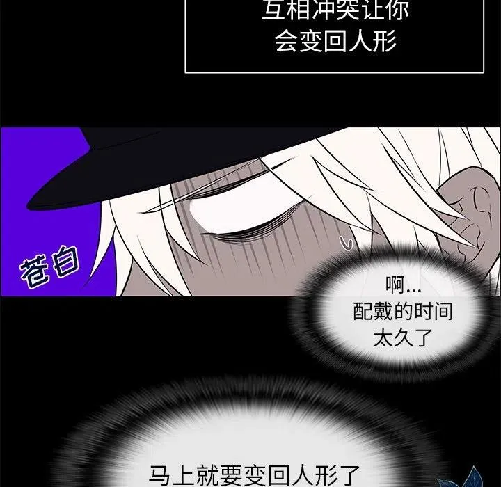 10 第5页