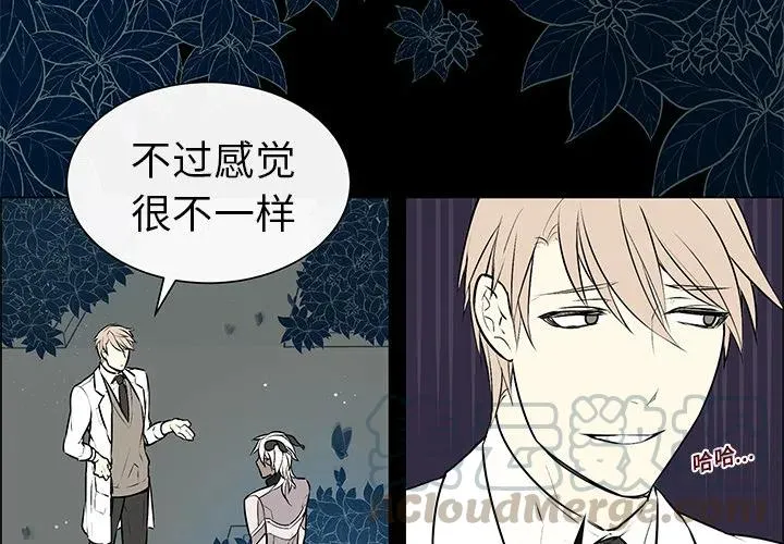 5 第4页
