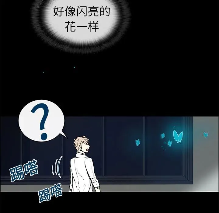 3 第51页