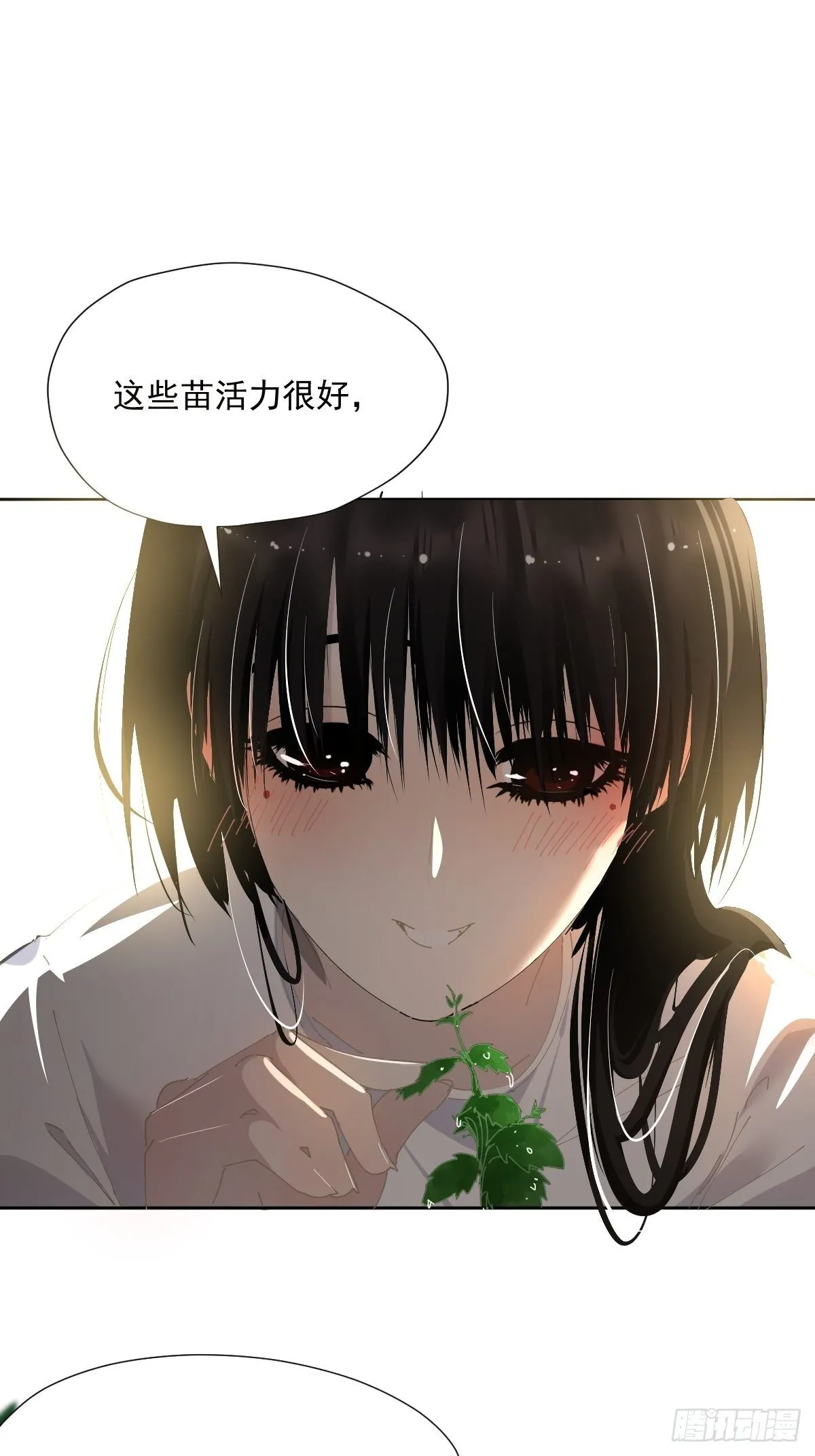 49.卡罗拉 第12页