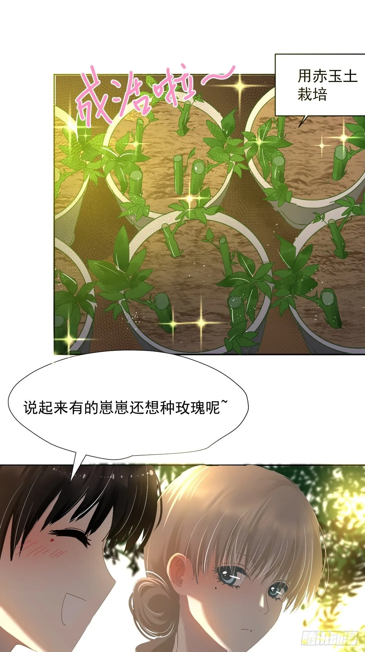 49.卡罗拉 第14页