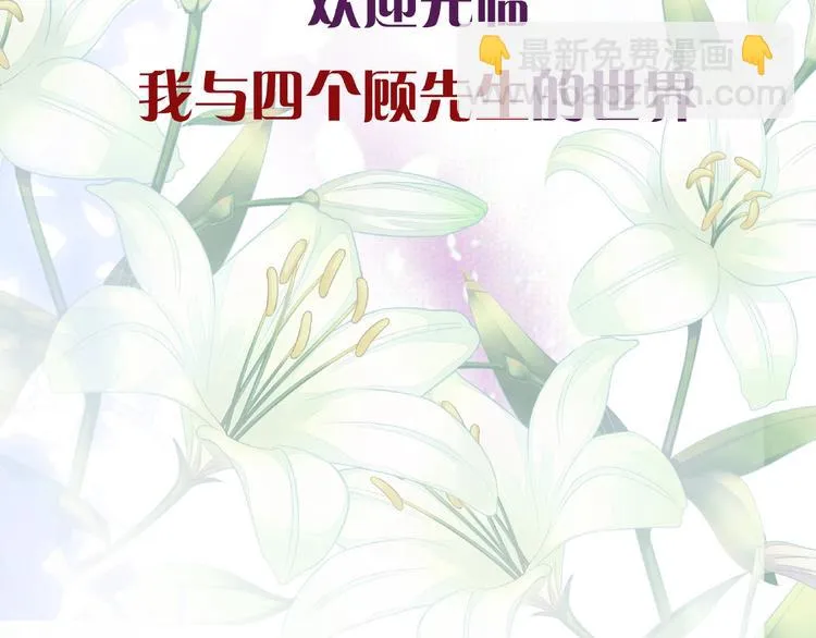 四个顾先生私密人格档案 第3页