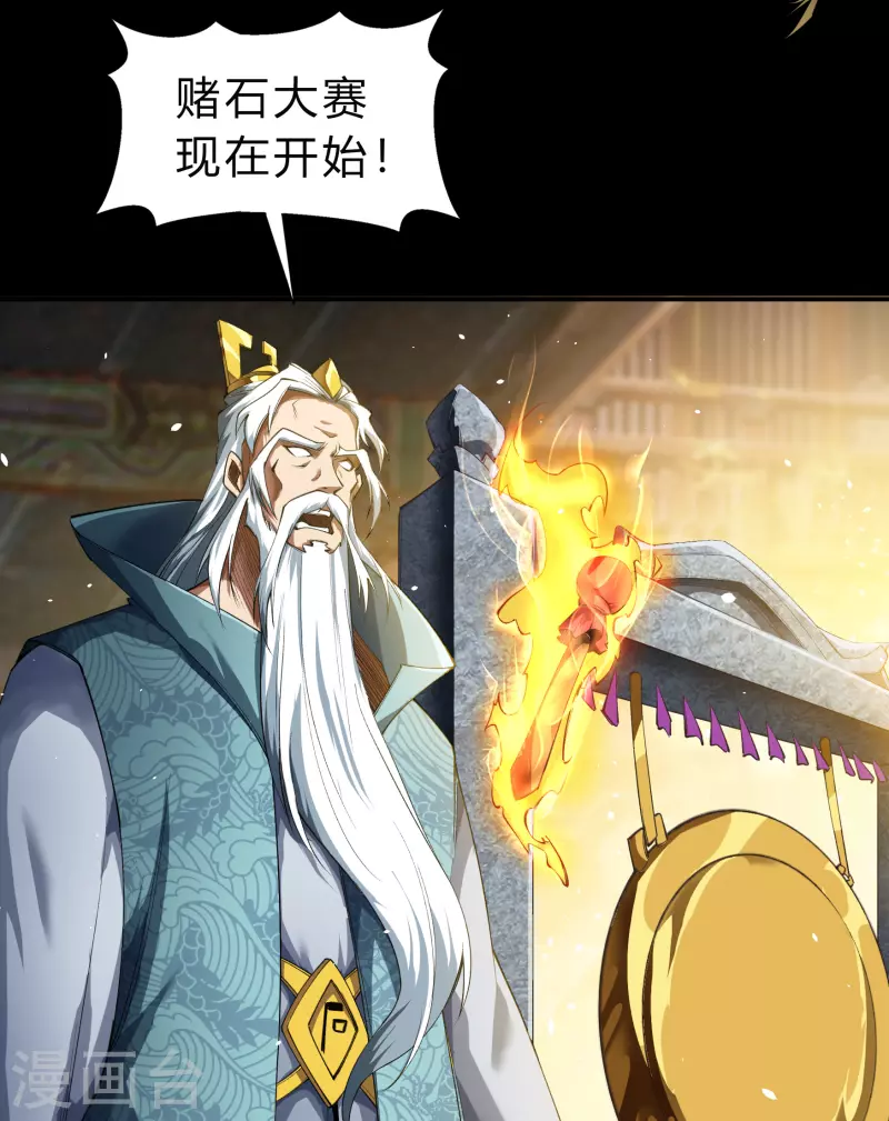 第155话 赌石大赛 第56页
