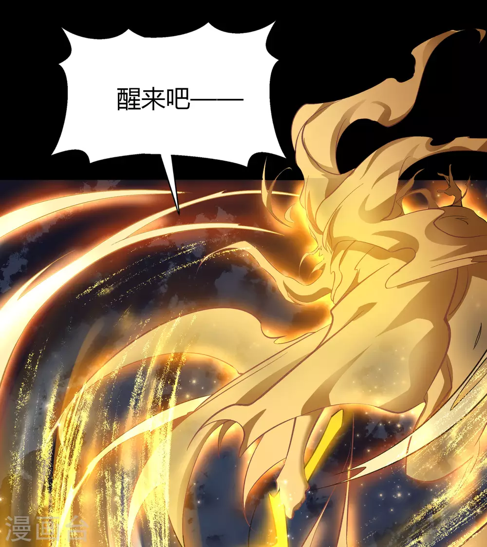 第102话 燃烧元魂 第3页