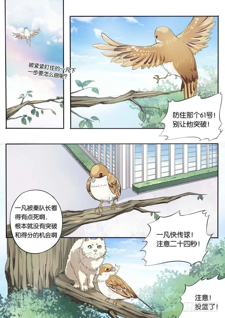 第二十四球：两个翅膀 第2页