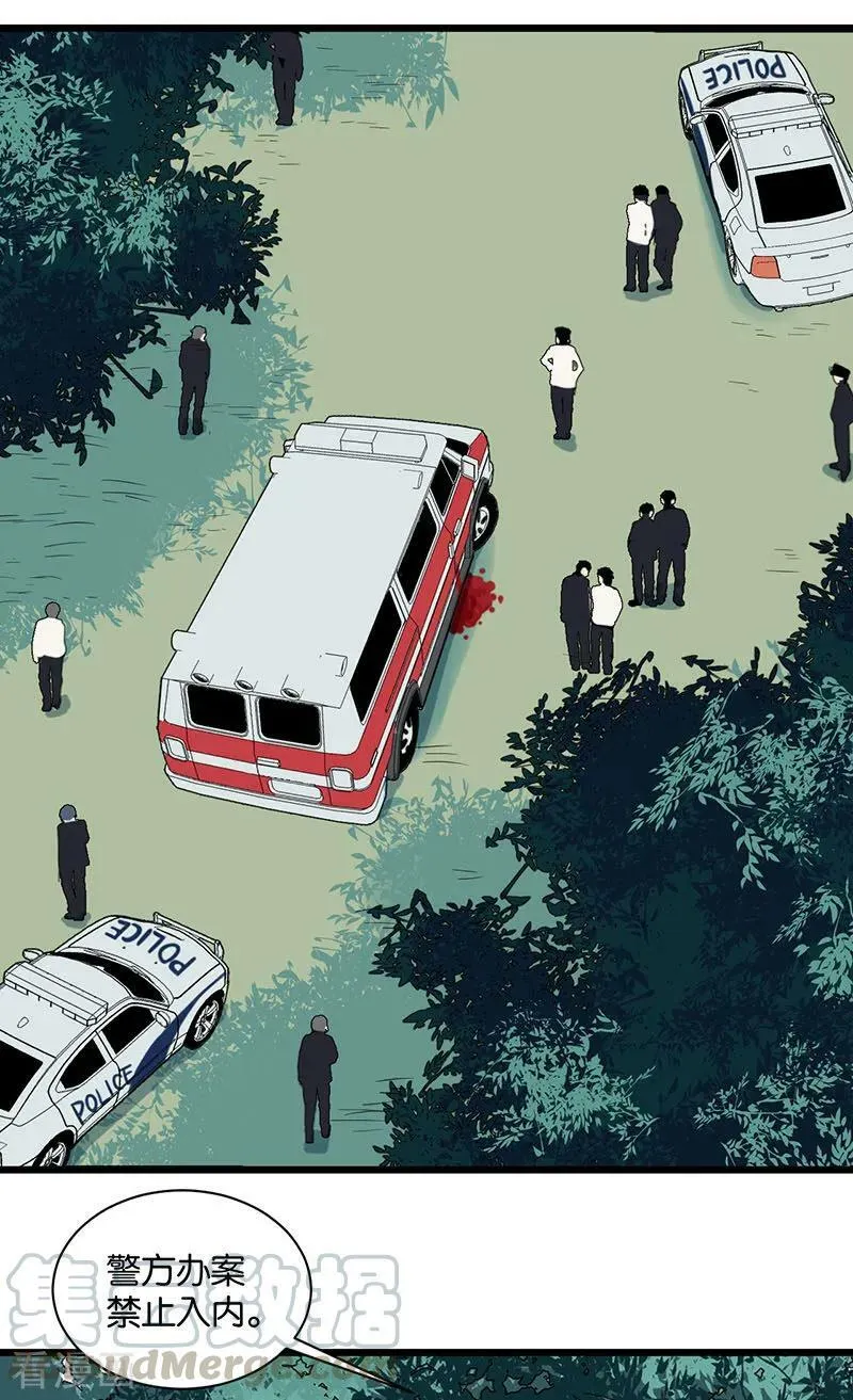 第47话 再遇 第13页