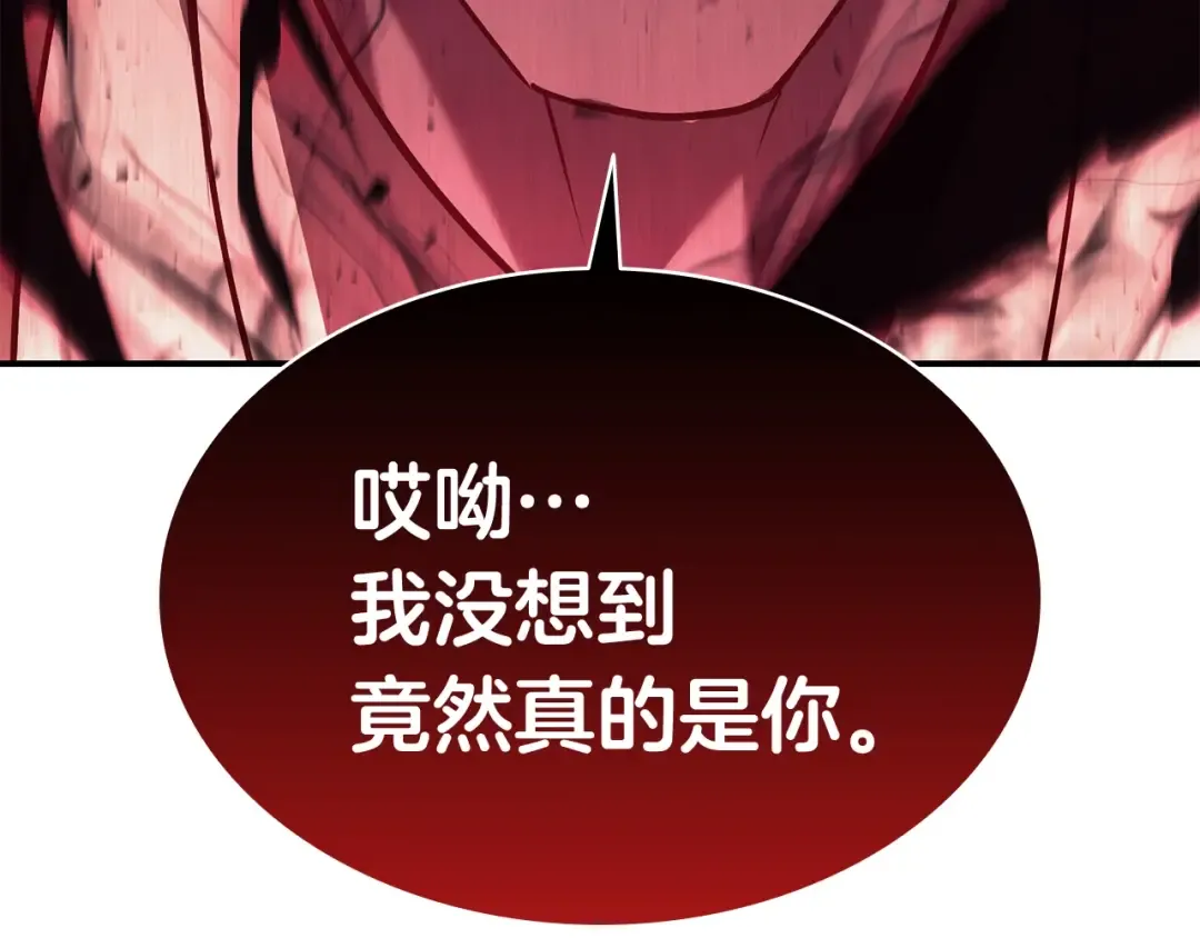 第28话 欢迎仪式 第199页