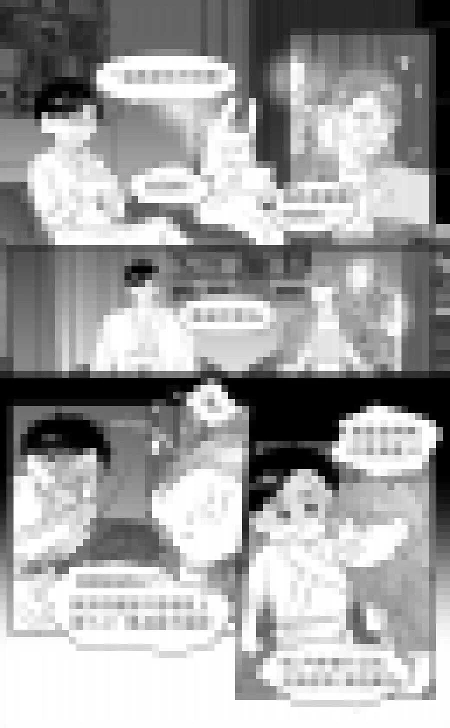 218 chap.33.4 第2页
