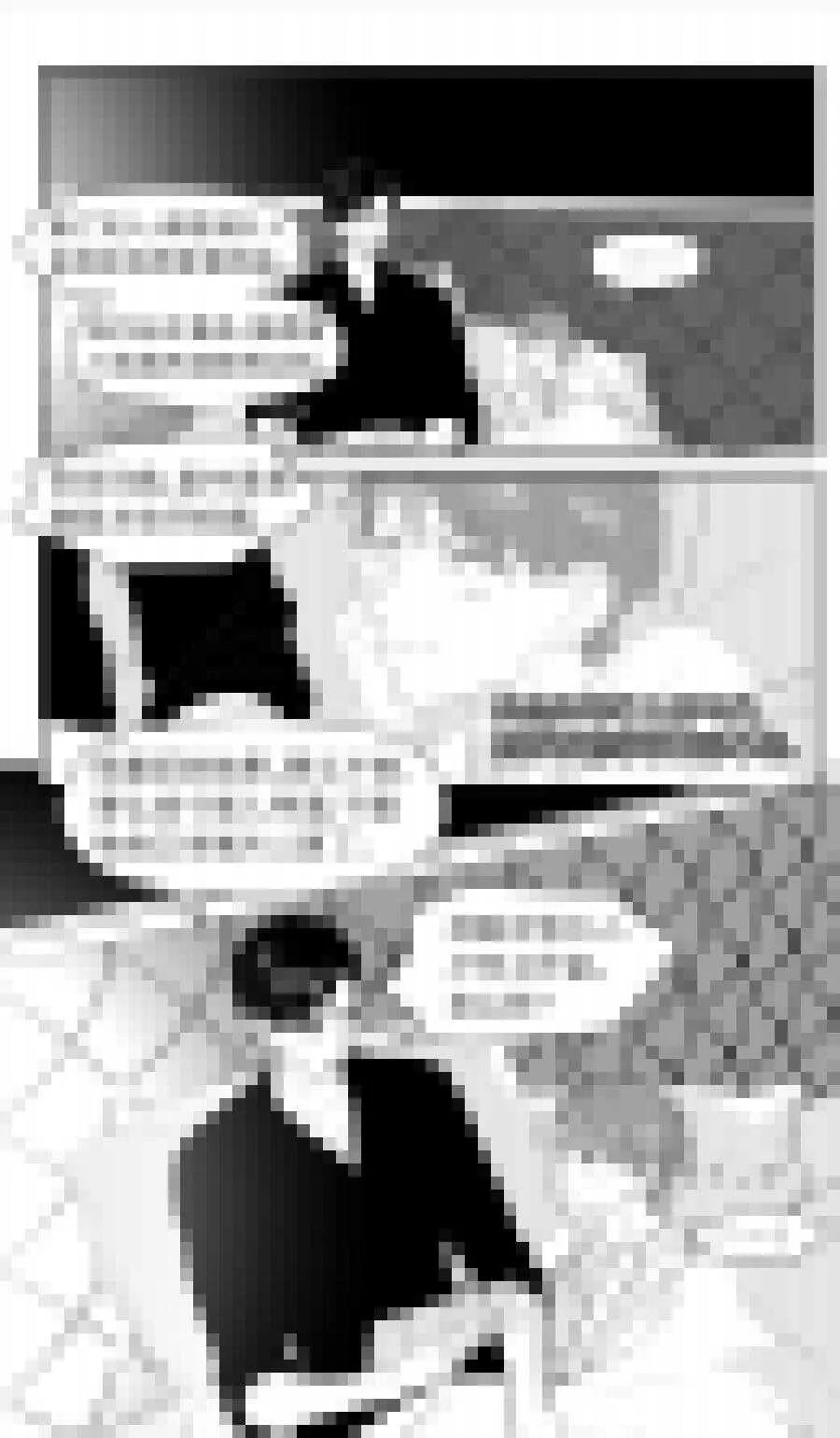 219 chap.33.5 第1页