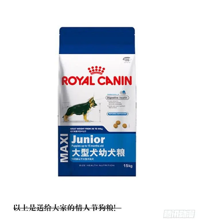 狗粮节快乐！ 第1页