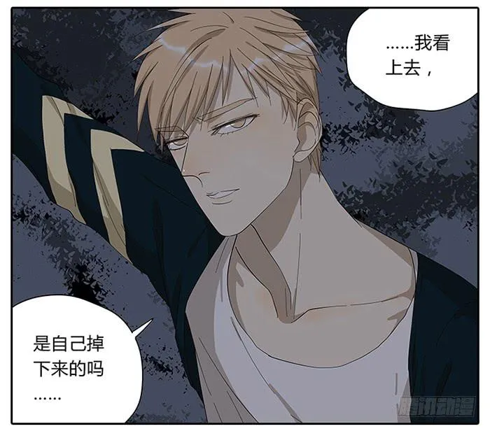 24.有个山洞！ 第6页