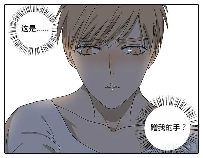 28.惊醒 第19页