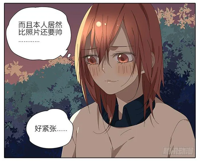 41.铁树开花 第4页