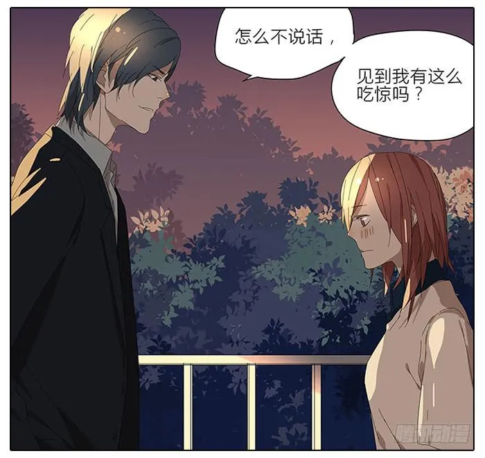 41.铁树开花 第5页