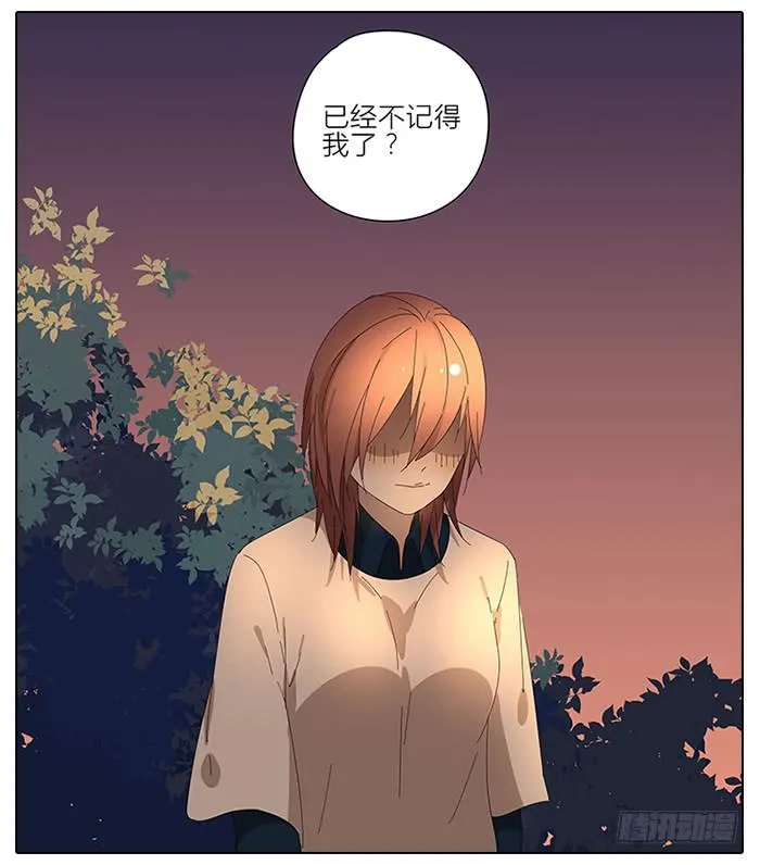 41.铁树开花 第11页
