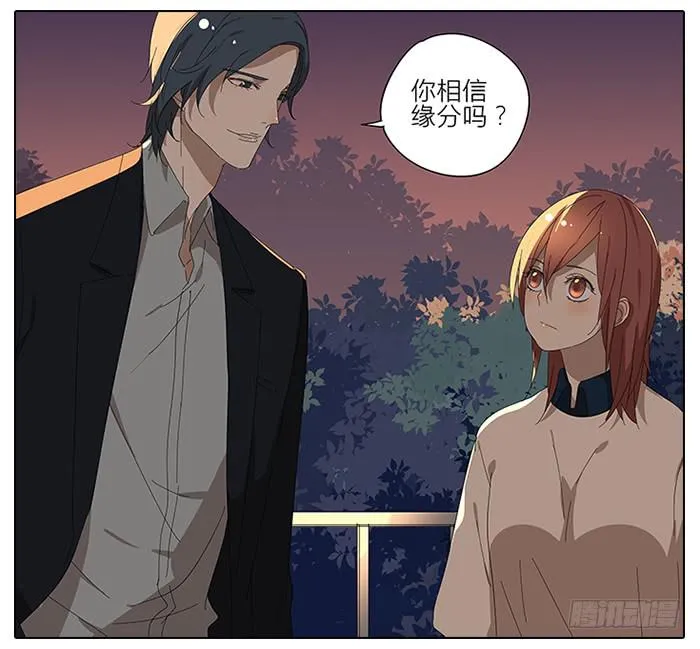 41.铁树开花 第14页