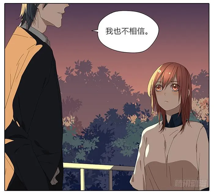 41.铁树开花 第17页