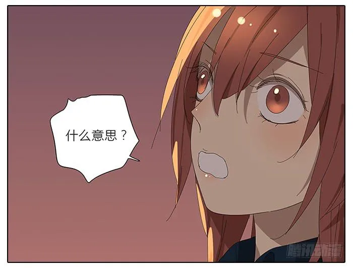 41.铁树开花 第27页