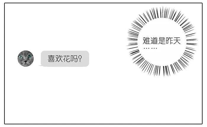 48.花 第20页