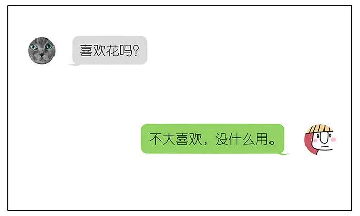 48.花 第21页