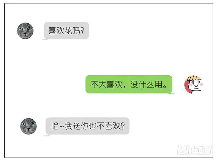 48.花 第22页