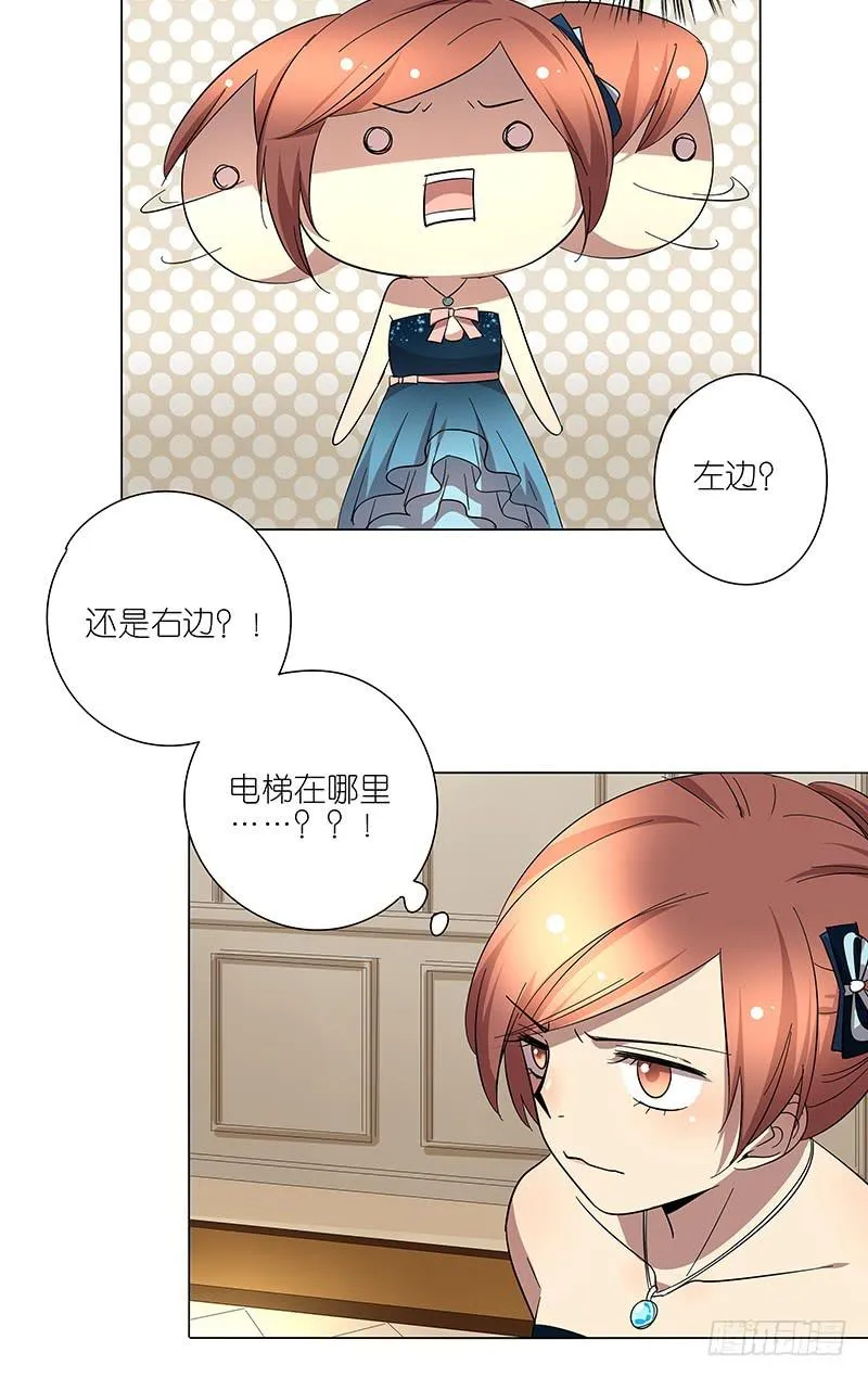 65.贵宾 第16页