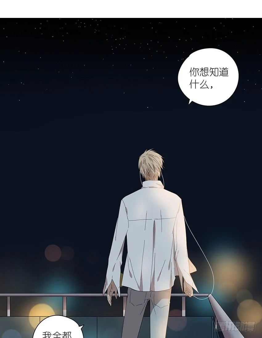 81.选择 第19页