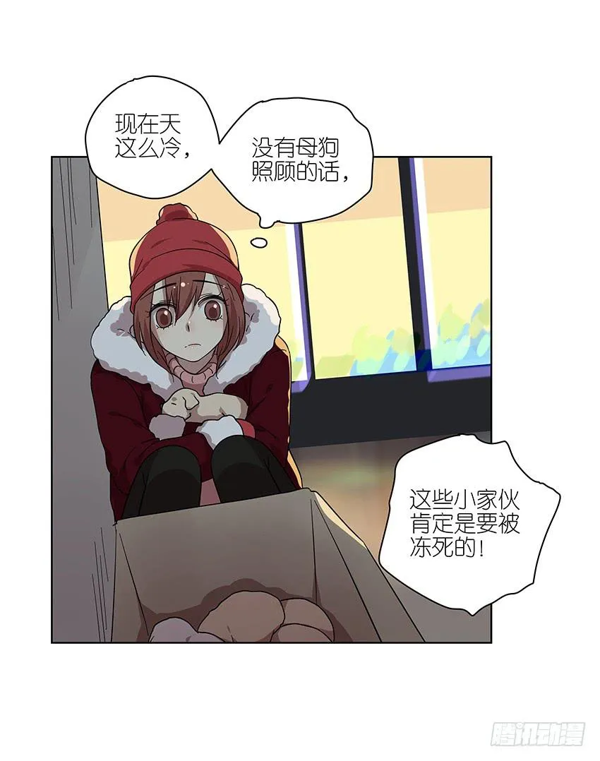 88.去年的平安夜 第13页