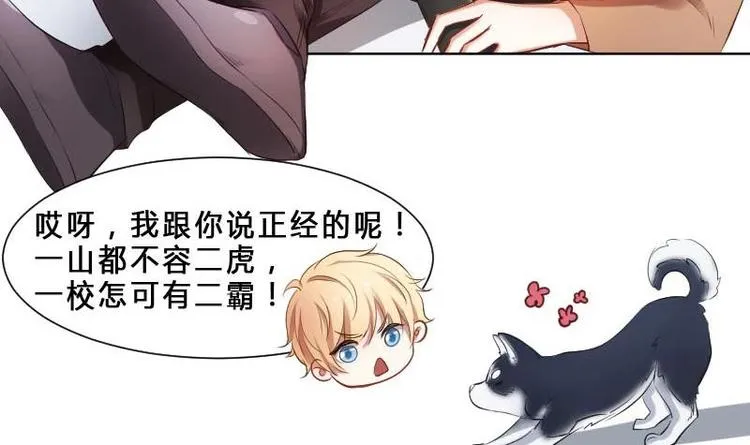 第1话 一山不容二虎 第21页