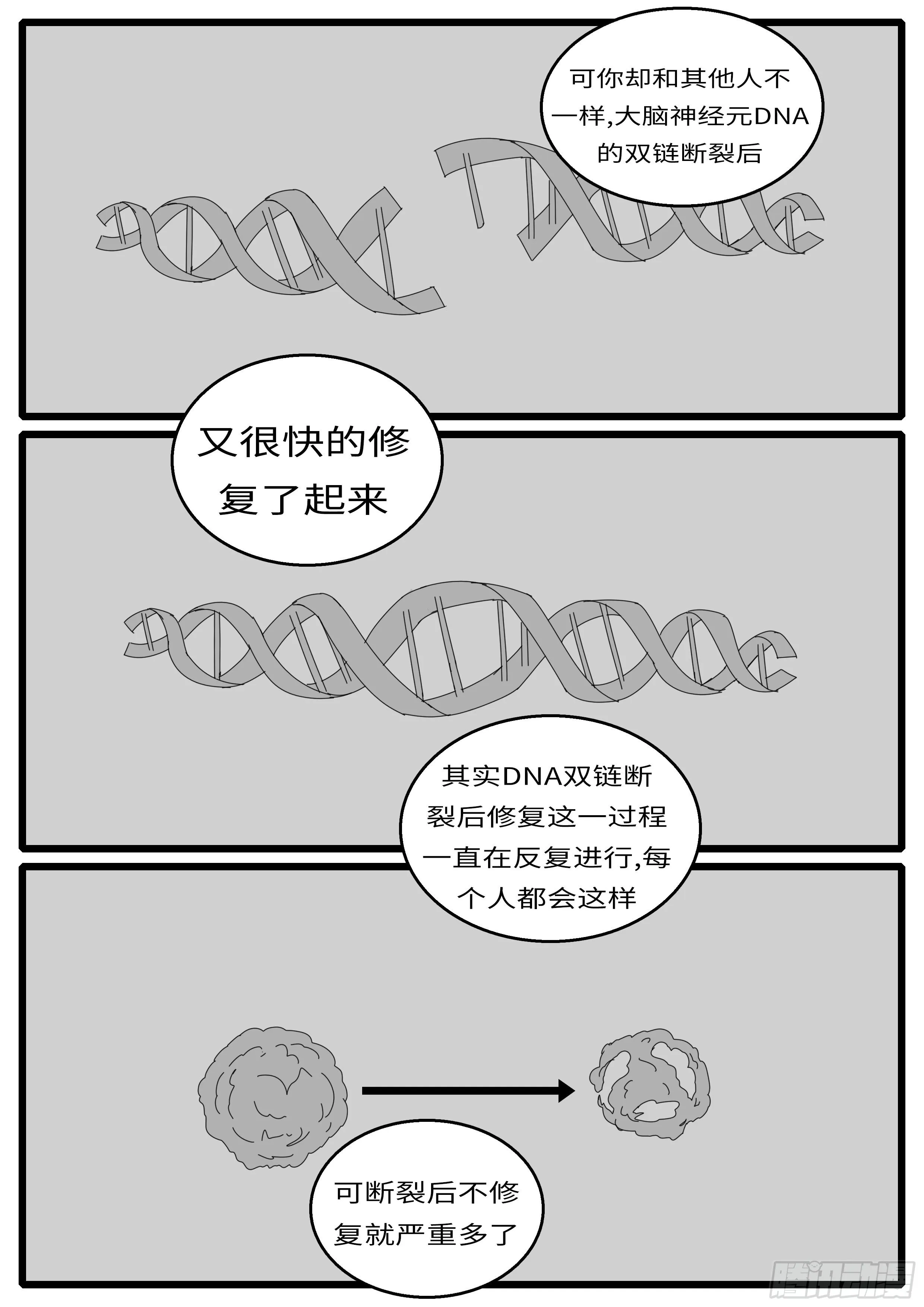 15年12月11日23点41分 第7页