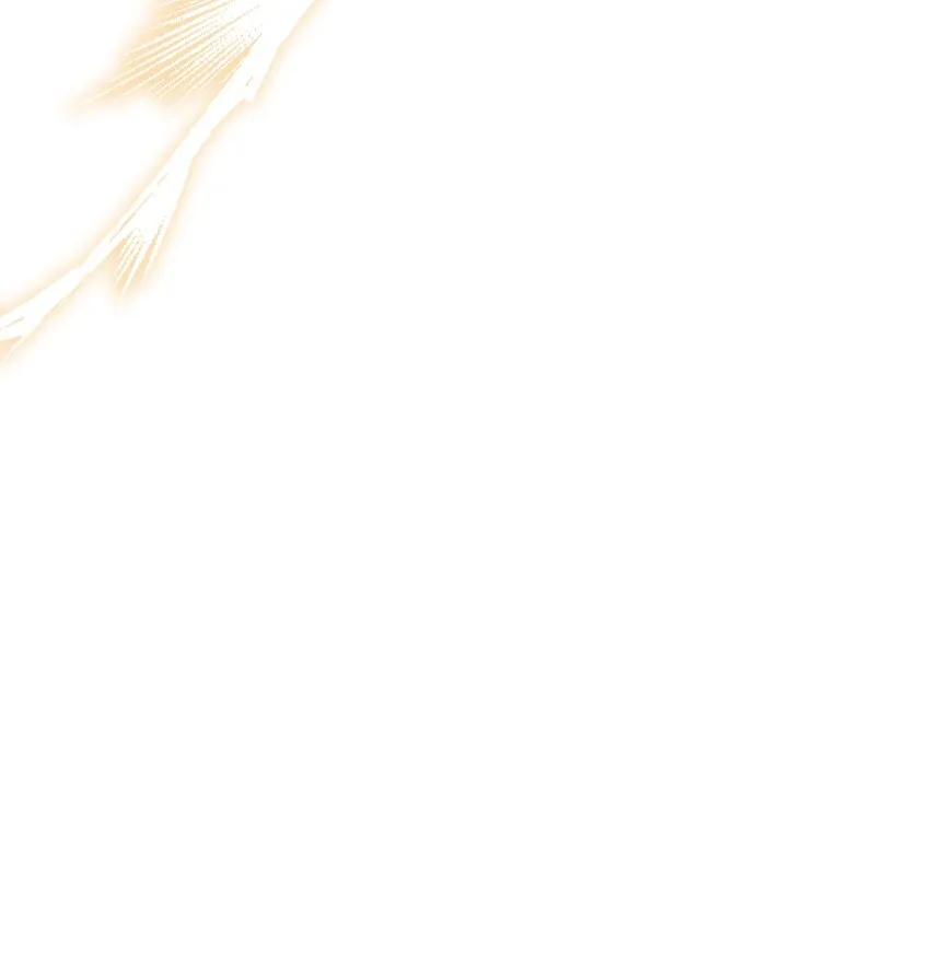 59 学海无涯 第51页