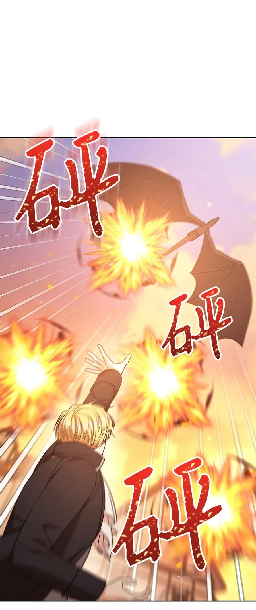 23 全国大会 第11页