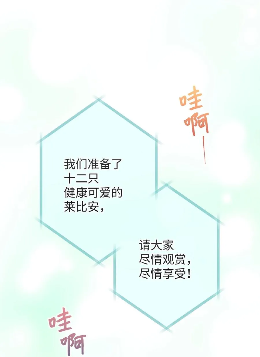17 魔兽赛跑 第8页