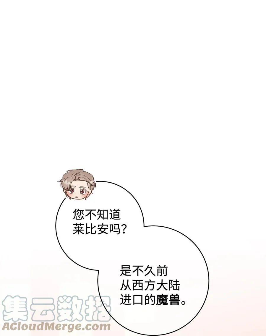 17 魔兽赛跑 第10页