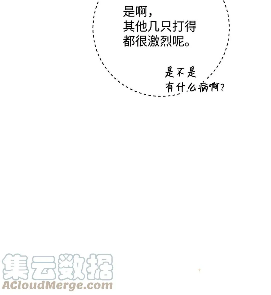 17 魔兽赛跑 第37页