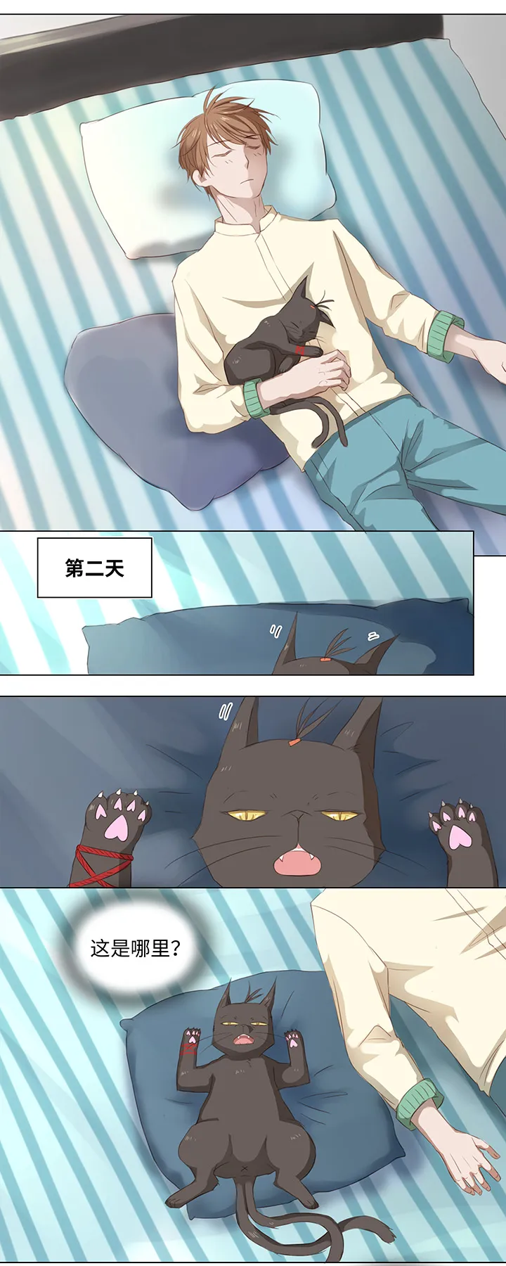 14 喵回来啦~ 第5页