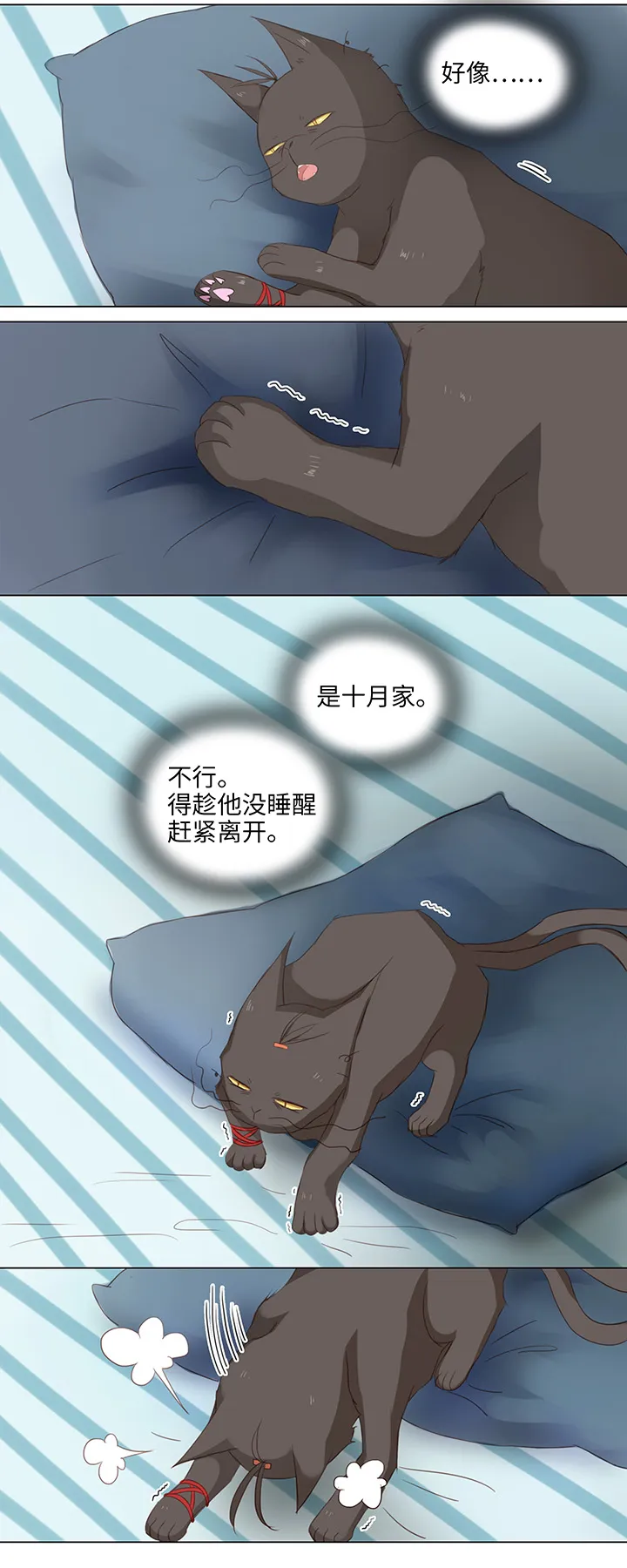 14 喵回来啦~ 第6页