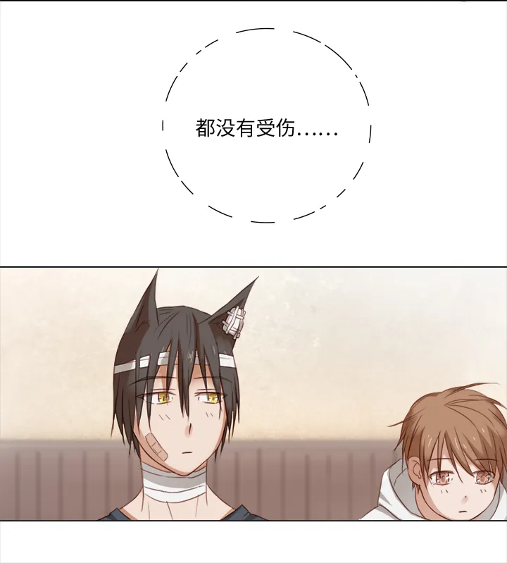 18 受伤 第3页
