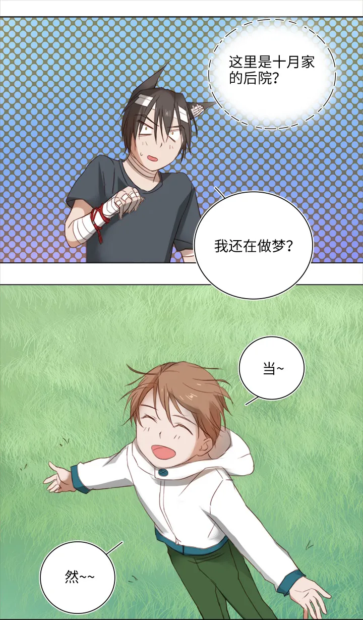 19 梦与回忆 第15页