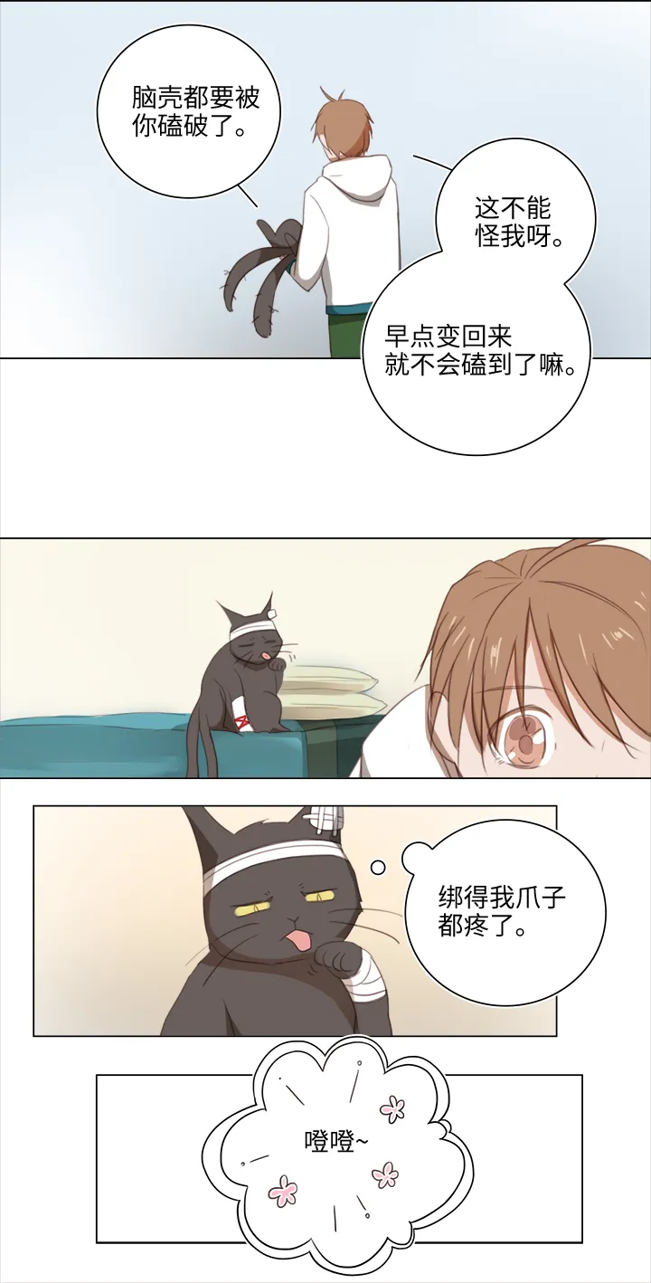 20 奇妙的邀请 第16页