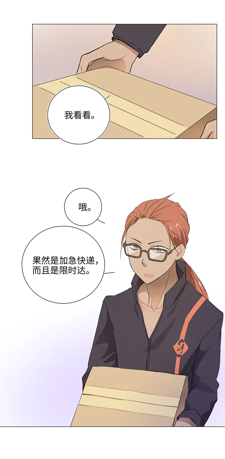 28 是谁？ 第11页