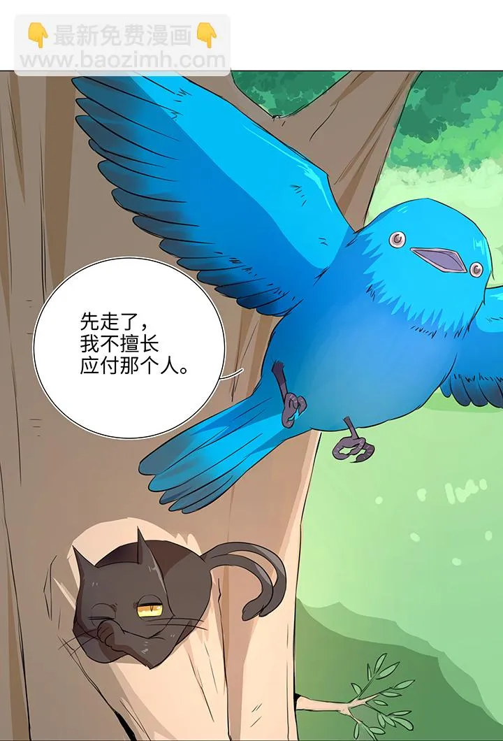 31 过去 第11页