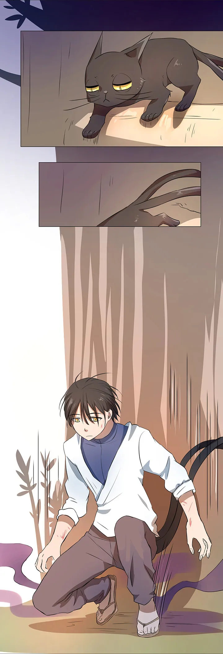 31 过去 第12页