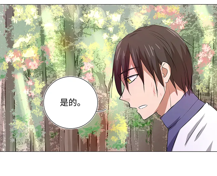 31 过去 第15页