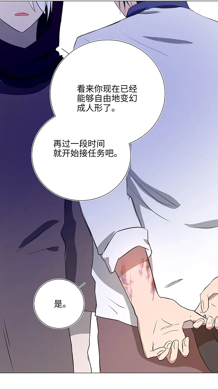 31 过去 第16页
