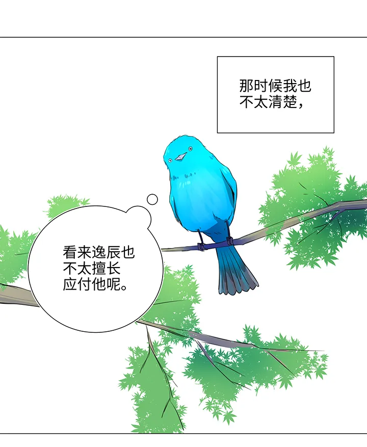 31 过去 第17页
