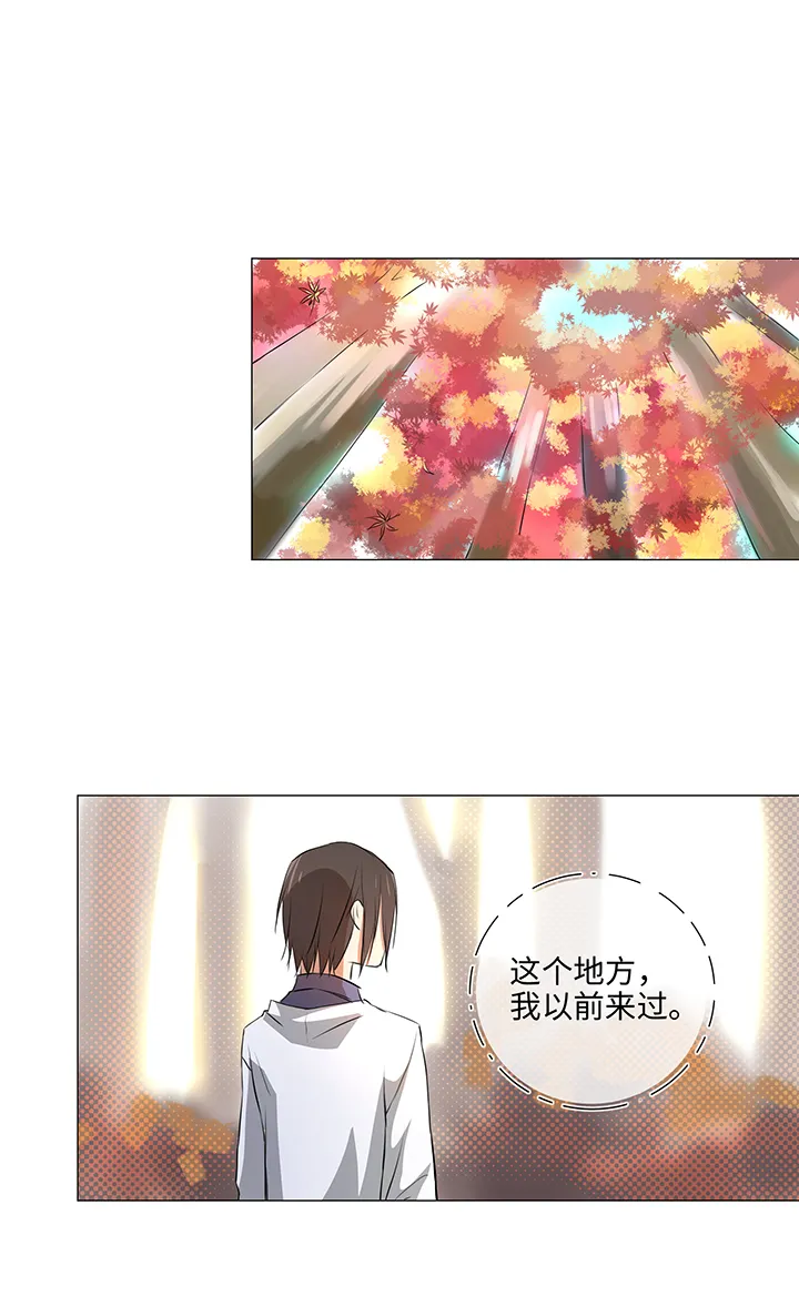 33 幻境之中 第20页